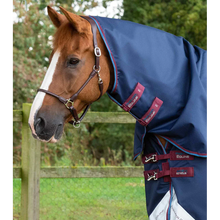 Load image into Gallery viewer, Akoni 0g Turnout Rug with Classic Neck Cover