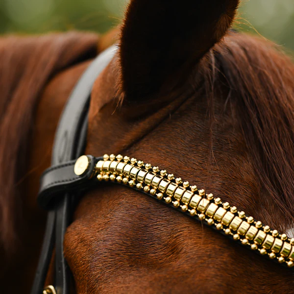 Delta Browband