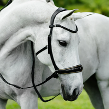 Load image into Gallery viewer, Skyla Bitless Bridle (No reins)