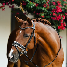 Load image into Gallery viewer, Sibella Bridle (Hanoverian) (No reins)