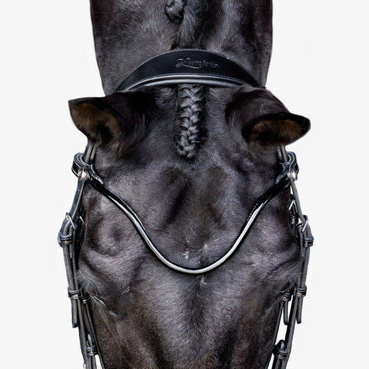 Penny Hanoverian Bridle (No reins)