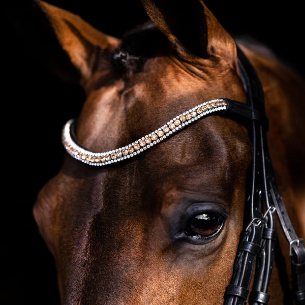 Champagne Crystal Browband (Black Leather) - Cob Size