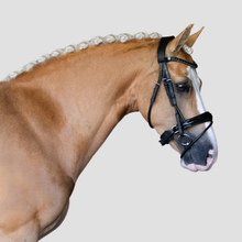 Load image into Gallery viewer, Audrey Rolled Leather Bridle (Hanoverian) (No reins)