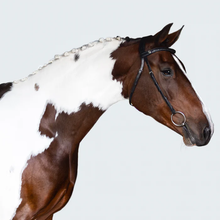Load image into Gallery viewer, Sansa Nosebandless Bridle (No reins)