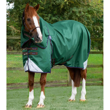 Load image into Gallery viewer, Akoni 0g Turnout Rug with Classic Neck Cover