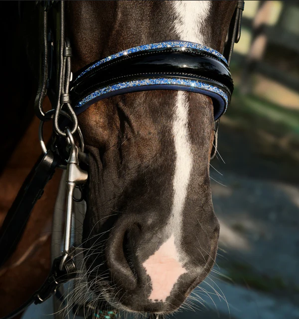 Paris Bridle (Double) (No reins)