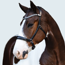 Load image into Gallery viewer, Symphony Bitless Bridle (No reins)