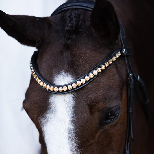 Seline Bitless Bridle (No reins)