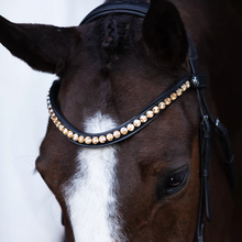 Load image into Gallery viewer, Seline Bitless Bridle (No reins)