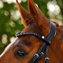 Load image into Gallery viewer, Sibella Bridle (Hanoverian) (No reins)