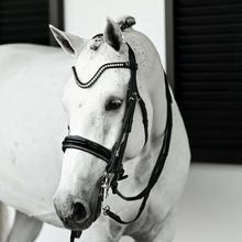 Load image into Gallery viewer, Saphira Bridle (Double) (No reins)