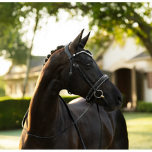 Load image into Gallery viewer, Saphira Bridle (Cavesson) (No reins)