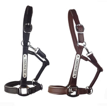 Load image into Gallery viewer, Leather Halter - Silver Fittings with Engraved Horse Nameplate