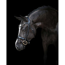 Load image into Gallery viewer, Audrey Italian Leather Bridle (Hanoverian)