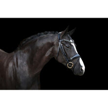 Load image into Gallery viewer, Audrey Italian Leather Bridle (Hanoverian)