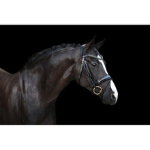 Load image into Gallery viewer, Audrey Rolled Leather Bridle (Hanoverian) (No reins)