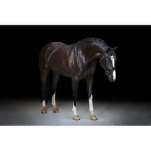 Load image into Gallery viewer, Audrey Rolled Leather Bridle (Hanoverian) (No reins)