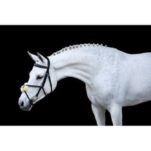 Load image into Gallery viewer, Ava Grackle Bridle (With Sheepskin) (No reins)