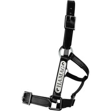 Load image into Gallery viewer, Black PVC Halter - Stainless Steel Fittings with Engraved Horse Nameplate