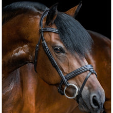 Load image into Gallery viewer, Milan Italian Leather Bridle (Convertible) (No reins)