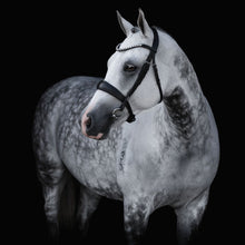 Load image into Gallery viewer, Abigail Black Italian Leather Bridle (No reins)