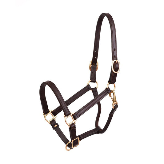 3/4" Premium Leather Show Halter