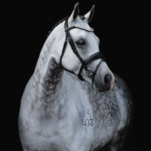 Load image into Gallery viewer, Abigail Black Italian Leather Bridle (No reins)