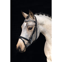 Load image into Gallery viewer, Little Star Bridle - Shetland pony