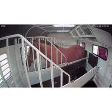 Load image into Gallery viewer, Equine Eye Voyager