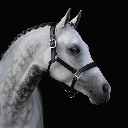 Alize Leather Halter