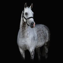 Load image into Gallery viewer, Alize Leather Halter