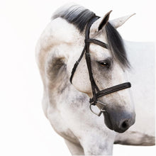 Load image into Gallery viewer, Milan Italian Leather Bridle (Convertible) (No reins)