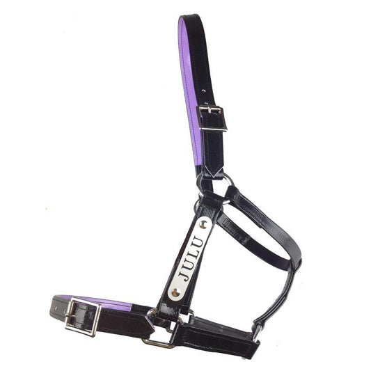 Black PVC Halter - Stainless Steel Fittings with Engraved Horse Nameplate