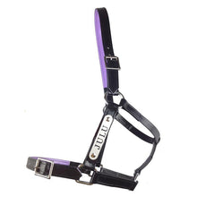 Load image into Gallery viewer, Black PVC Halter - Stainless Steel Fittings with Engraved Horse Nameplate