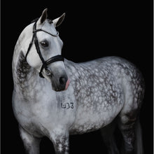 Load image into Gallery viewer, Abigail Black Italian Leather Bridle (No reins)