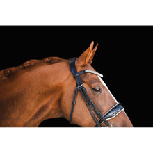 Load image into Gallery viewer, Adeline Italian Leather Bridle (Double) (No reins)