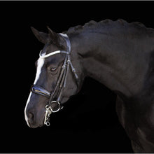 Load image into Gallery viewer, Amie Luxury Leather Bridle - (Double) (No reins)