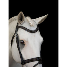Load image into Gallery viewer, Milan Italian Leather Bridle (Convertible) (No reins)