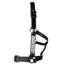 Load image into Gallery viewer, Black PVC Halter - Stainless Steel Fittings with Engraved Horse Nameplate