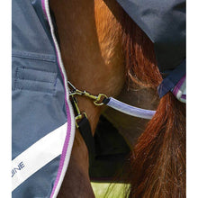 Load image into Gallery viewer, Buster 70g Turnout Rug with Classic Neck Cover