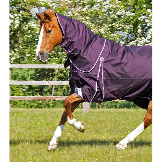 Buster 70g Turnout Rug with Classic Neck Cover