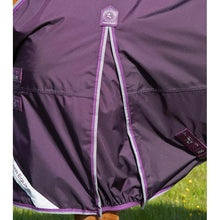 Load image into Gallery viewer, Buster 70g Turnout Rug with Classic Neck Cover