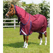 Load image into Gallery viewer, Buster 40g Turnout Rug with Classic Neck Cover