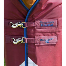 Load image into Gallery viewer, Buster 40g Turnout Rug with Classic Neck Cover