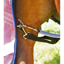 Load image into Gallery viewer, Buster 40g Turnout Rug with Classic Neck Cover