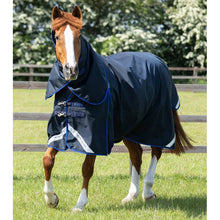 Load image into Gallery viewer, Buster 40g Turnout Rug with Classic Neck Cover