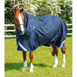 Buster 40g Turnout Rug with Classic Neck Cover