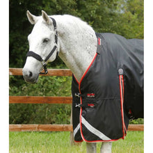 Load image into Gallery viewer, Buster 100g Turnout Rug with Snug-Fit Neck Cover