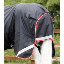 Load image into Gallery viewer, Buster 100g Turnout Rug with Snug-Fit Neck Cover