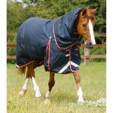 Load image into Gallery viewer, Buster 100g Turnout Rug with Snug-Fit Neck Cover